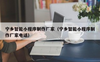 新泰宁乡智能小程序制作厂家（宁乡智能小程序制作厂家电话）
